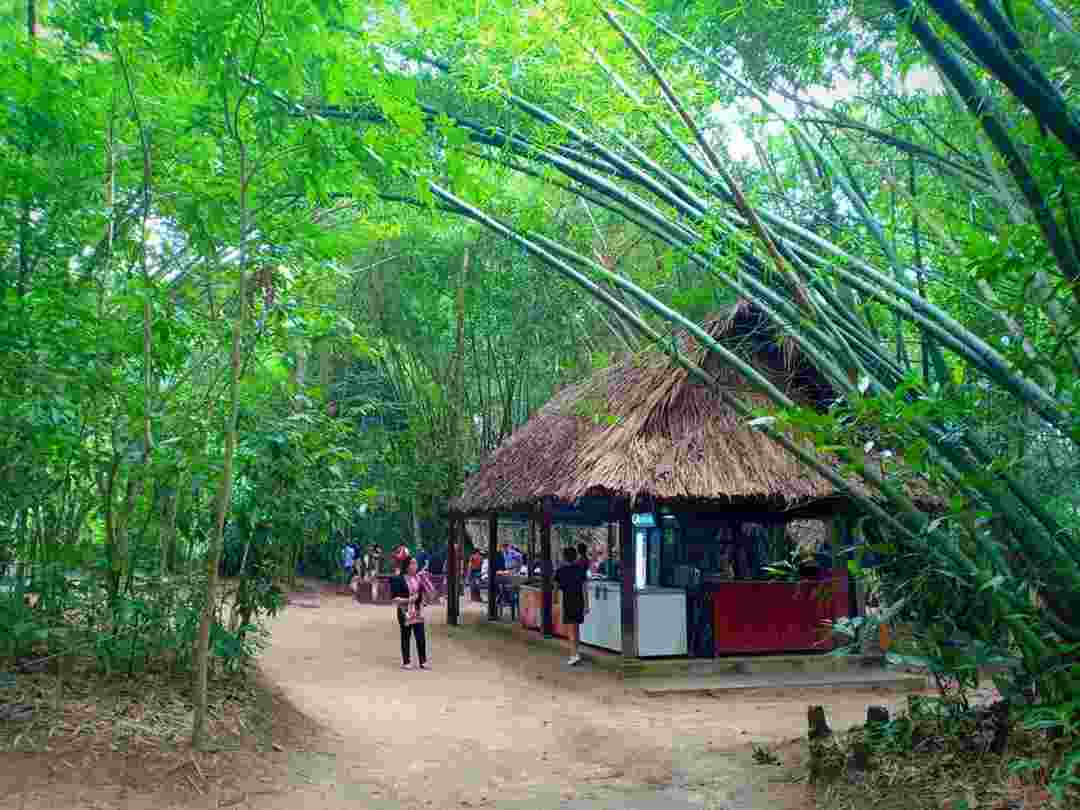 Địa đạo hình thành vào giai đoạn năm 1946 đến năm 1948