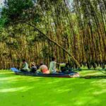 Rừng tràm Trà Sư – Nơi dừng chân cho cuộc sống tĩnh lặng Rừng tràm tại An Giang điểm đến hấp dẫn không thể chối từ