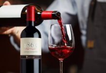 Rượu Vang Chile: Bí Quyết Chọn Vang Ngon Giá Tốt Nhất Chile chính là thiên đường dành riêng cho những cây nho