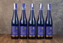 Vang Đức: Nghệ Thuật Cân Bằng Từ Những Vườn Nho Độ Dốc Vang Đức có nhiều dòng với nhiều hương vị khác nhau